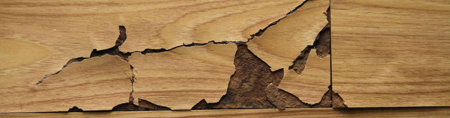 Water Damaged Floorboards Flooded Floorboard, Water Under Floorboard
