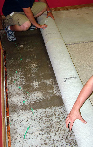 Flood Damage Carpet Restoration in Aspley