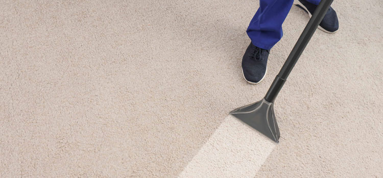 Drying Wet Carpet in Labrador