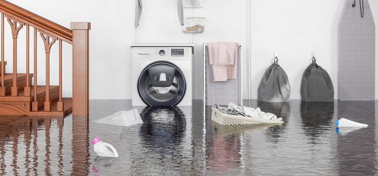 Emergency Flood Services in Annerley