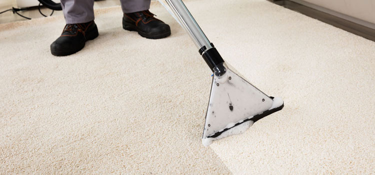 Flood Damage Carpet Cleaning in Commissioners Flat