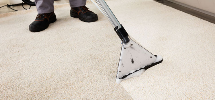 Flood Damage Carpet Cleaning in Annerley