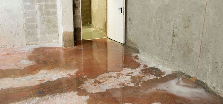Sewage Water Damage in Annerley