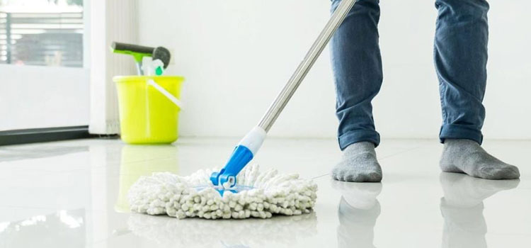 Specialized Cleaning Services in Ipswich