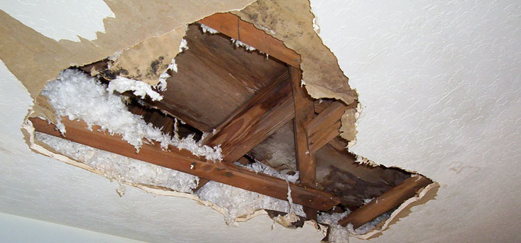 Sewage Damage Restoration in Annerley